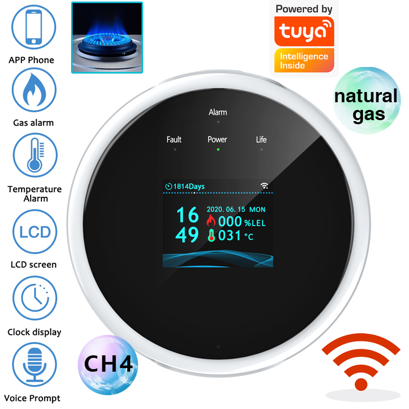 Home Security With Ai - Sensor de Alarme de Gás WiFi