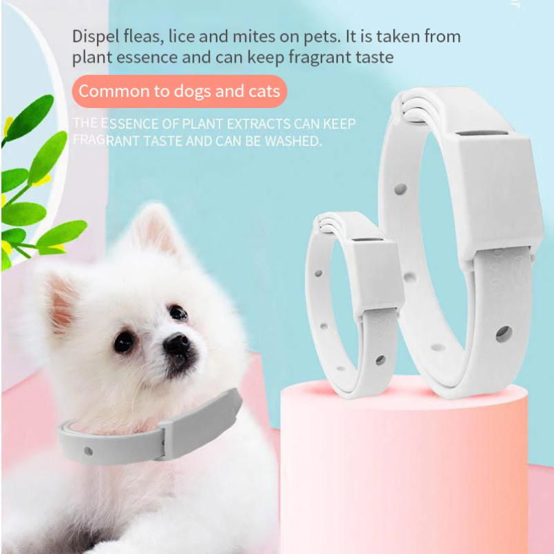 Coleira anti-polga para gato,  - Pet Immune Pir Sensor avaliação e preço
