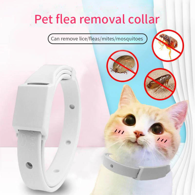 Coleira anti-polga para gato,  - Pet Immune Pir Sensor avaliação e preço