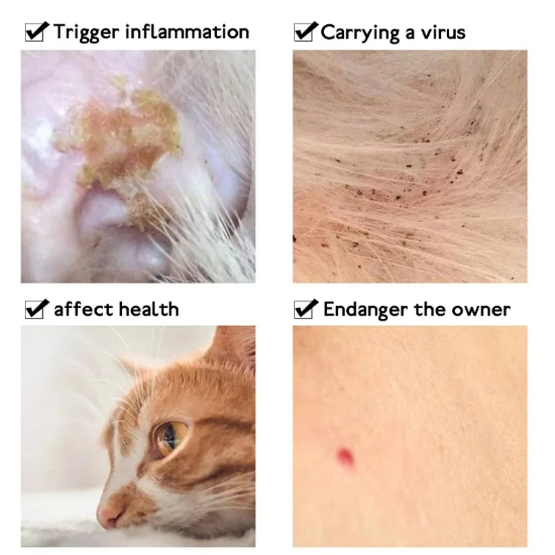 Coleira anti-polga para gato,  - Pet Immune Pir Sensor avaliação e preço